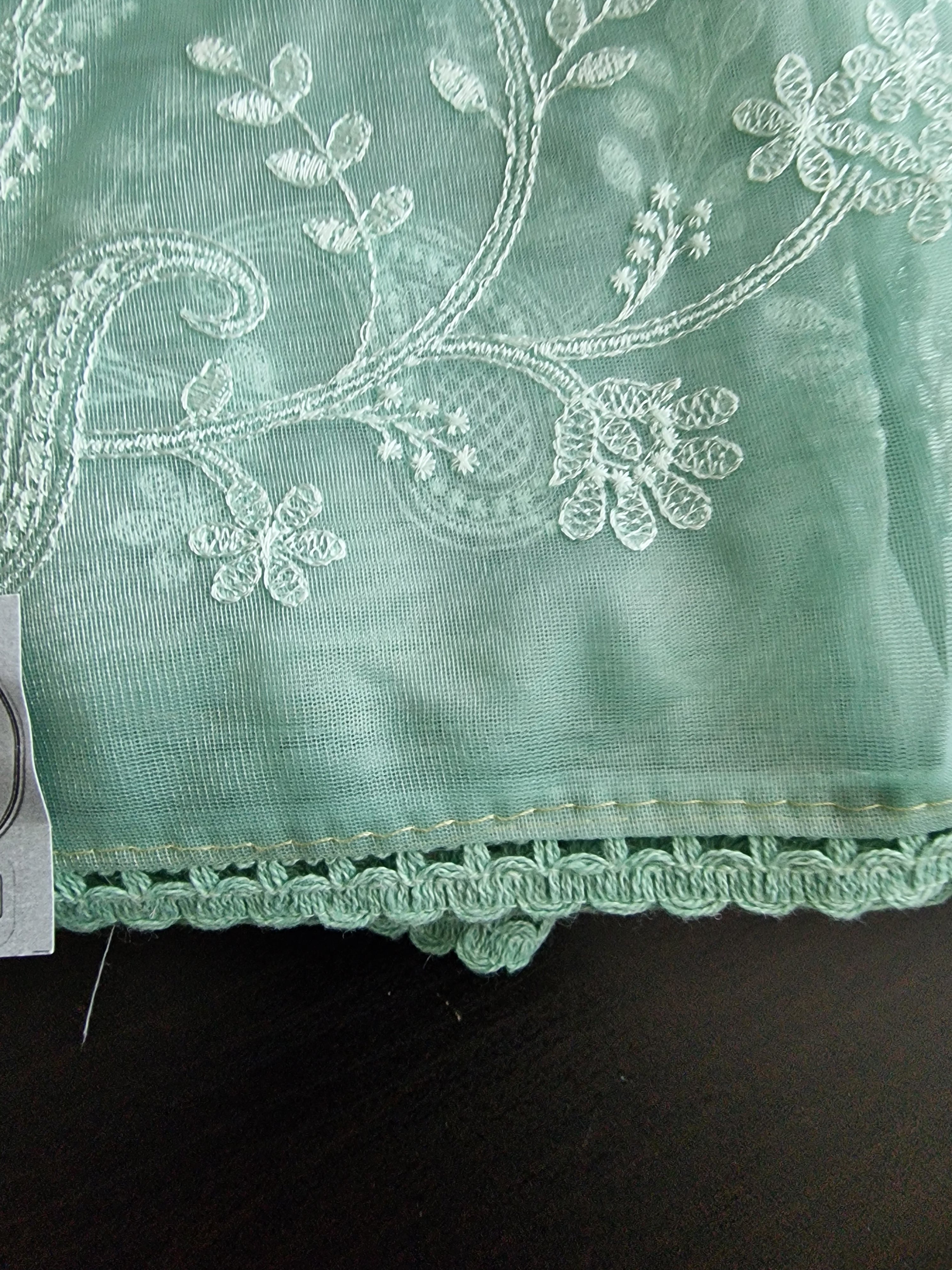 Pastel Mint Green Floral Embroidered Organza Saree